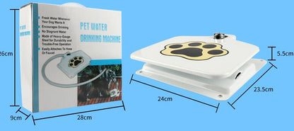 Step Up Dog Water Fountain
